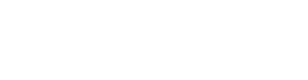 Amazon flex drivers