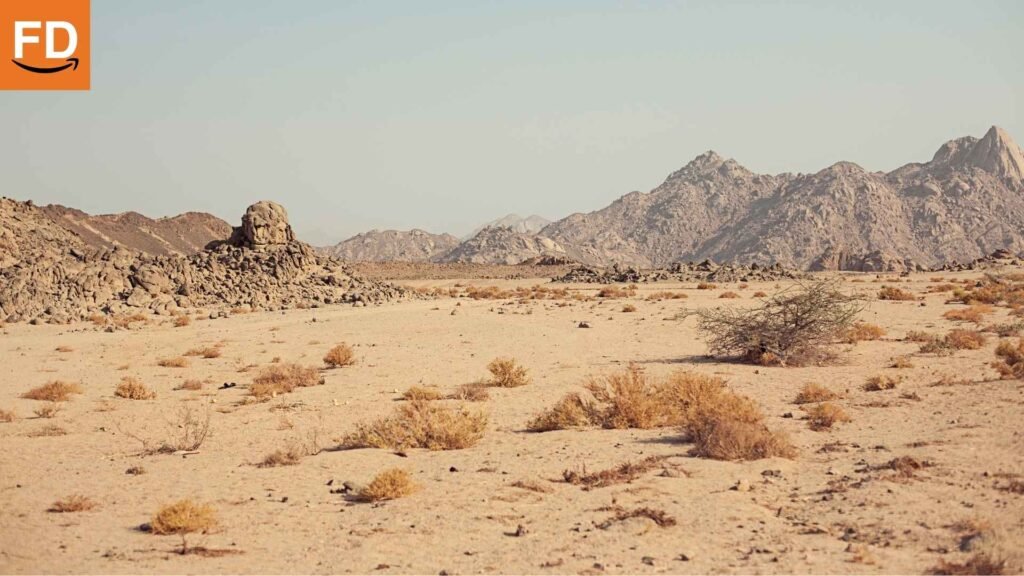 Amazon Flex más competitivo