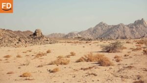 Amazon Flex más competitivo